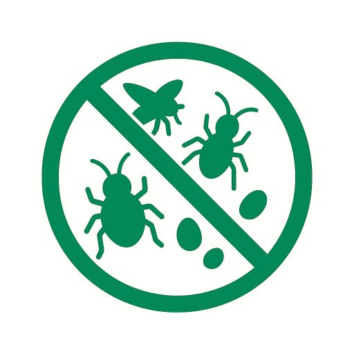 Control de plagas de insectos - Empresa de Control de Plagas Pamplona, Navarra