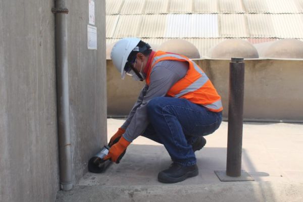 Servicio de desratización - Empresa Control de Plagas Pamplona